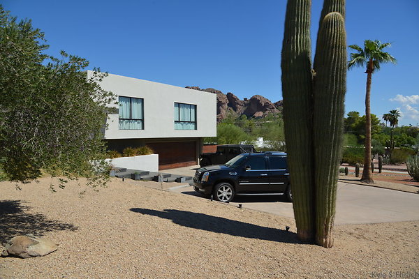 DSC 5369