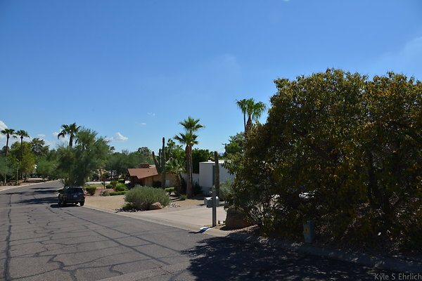 DSC 5386