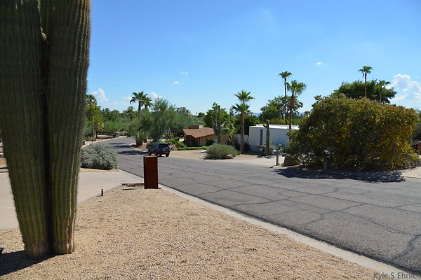 DSC 5374
