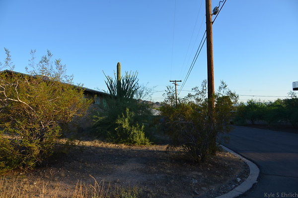 DSC 4631