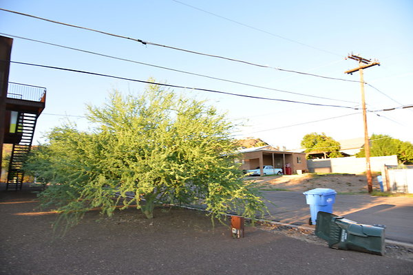 DSC 5006