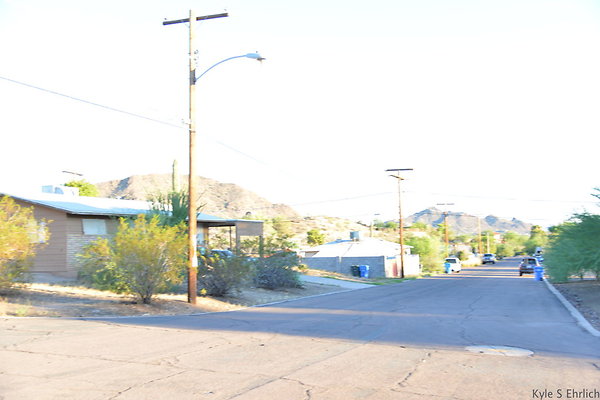 DSC 4603