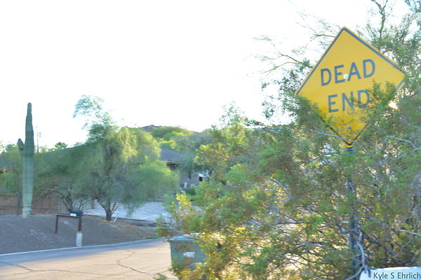 DSC 4605