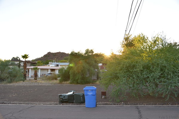 DSC 4694