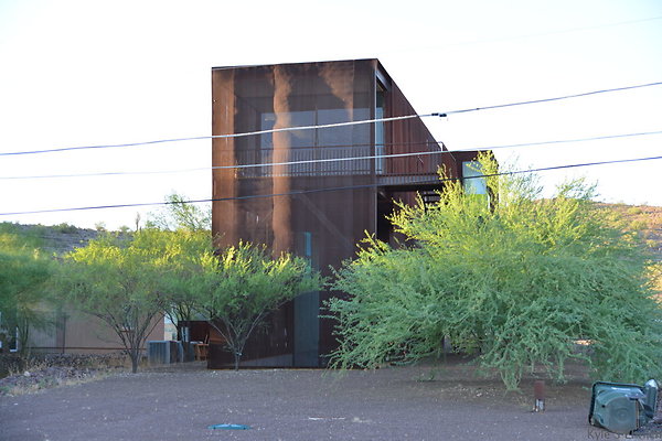 DSC 5019