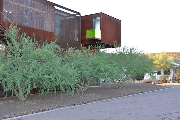 DSC 4651