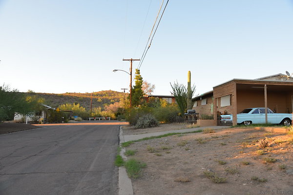 DSC 4696