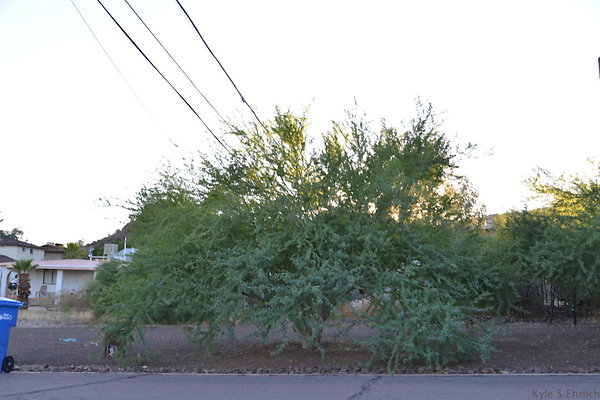 DSC 4691