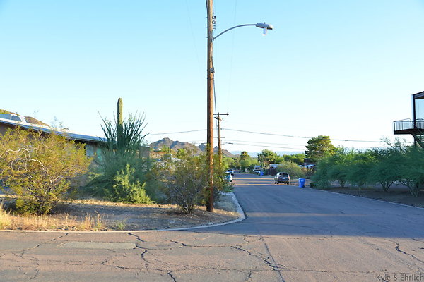 DSC 4625