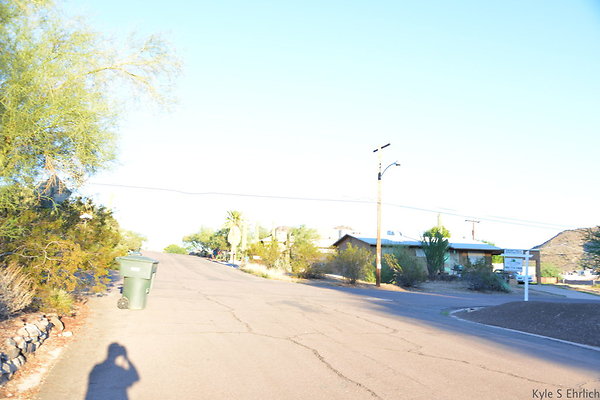 DSC 4619