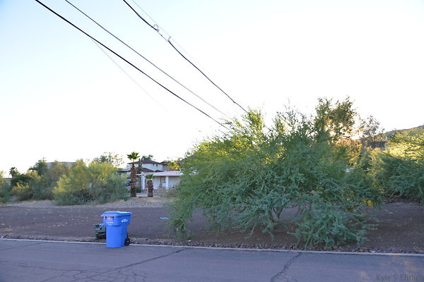 DSC 4652