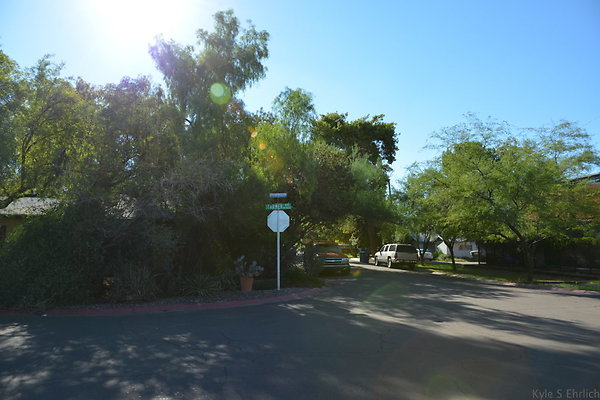 DSC 4474