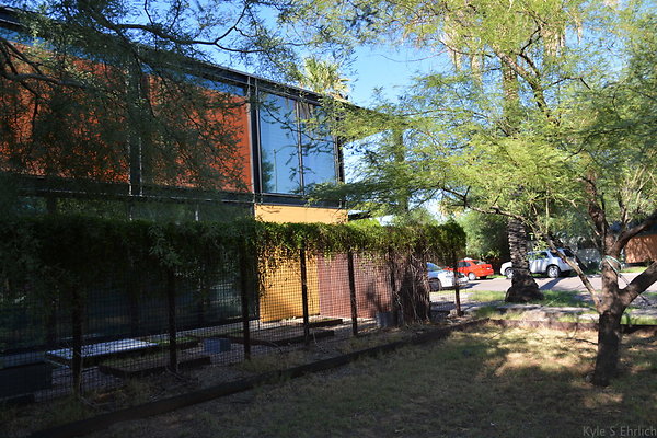 DSC 4525
