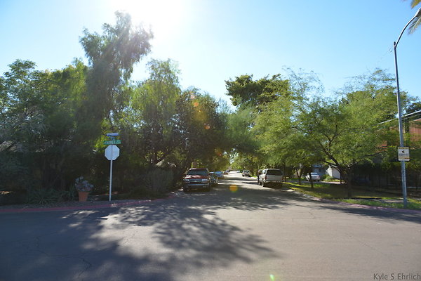 DSC 4480