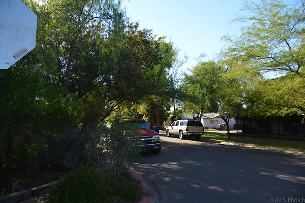 DSC 4502