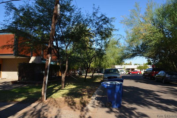 DSC 4514