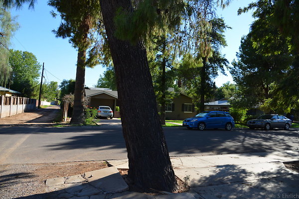 DSC 4523