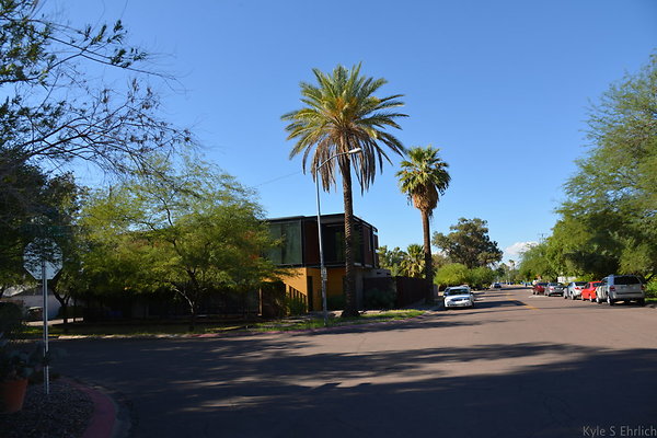 DSC 4529