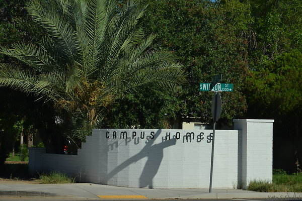 DSC 6469