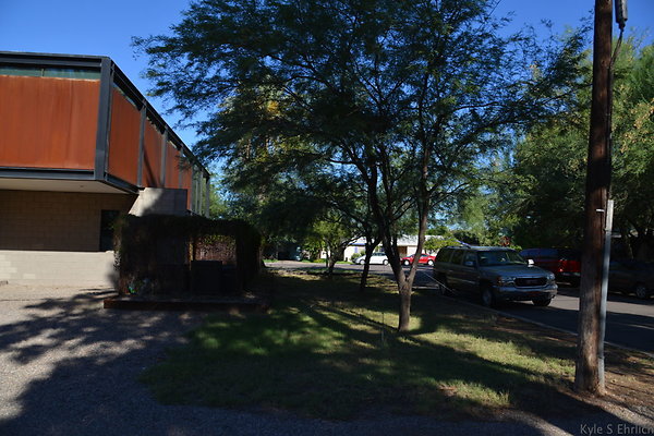 DSC 4520