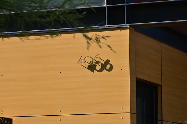 DSC 5527