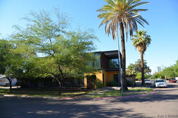 DSC 4503