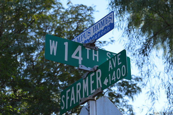 DSC 5528