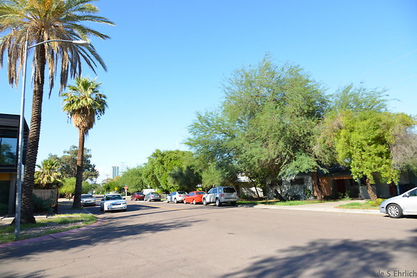 DSC 4504