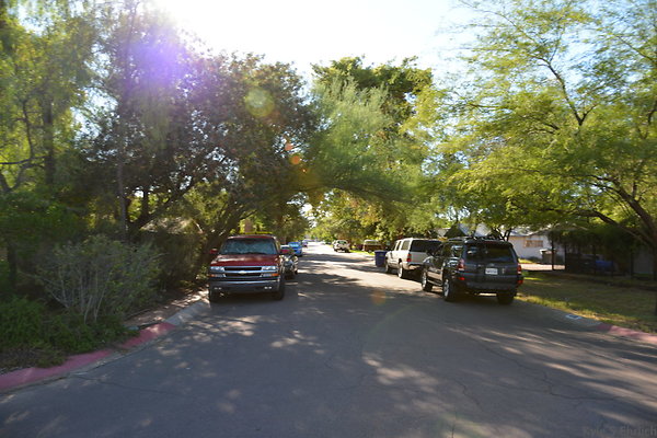 DSC 4543