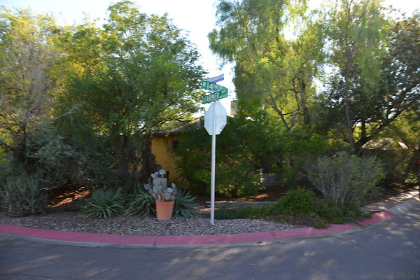 DSC 4542