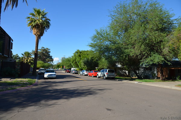 DSC 4545