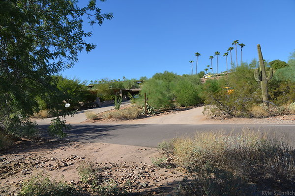 DSC 5437