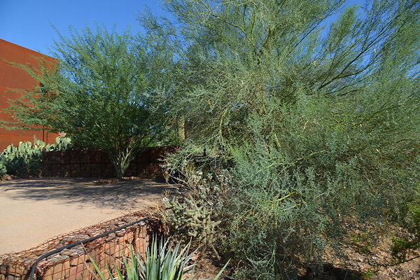 DSC 5414