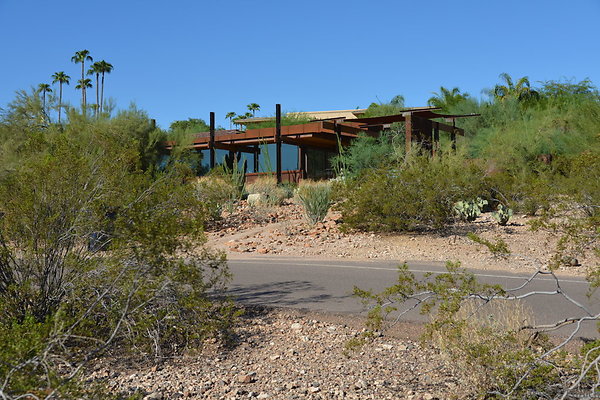 DSC 5454