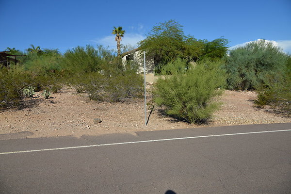 DSC 5462