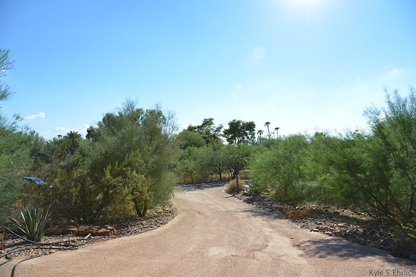 DSC 5425