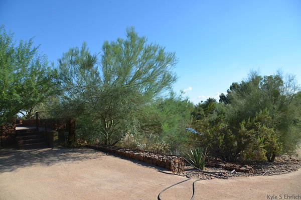 DSC 5424