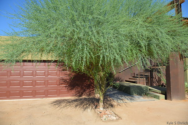 DSC 5429