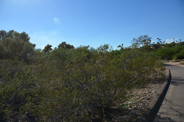 DSC 5469