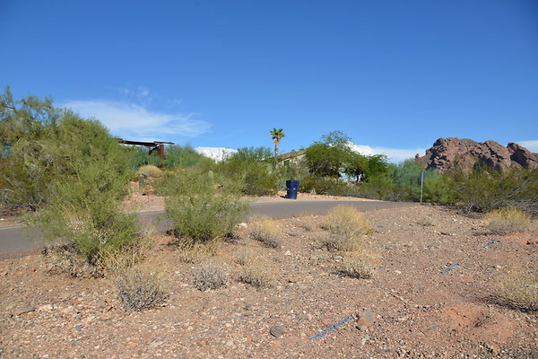 DSC 5445