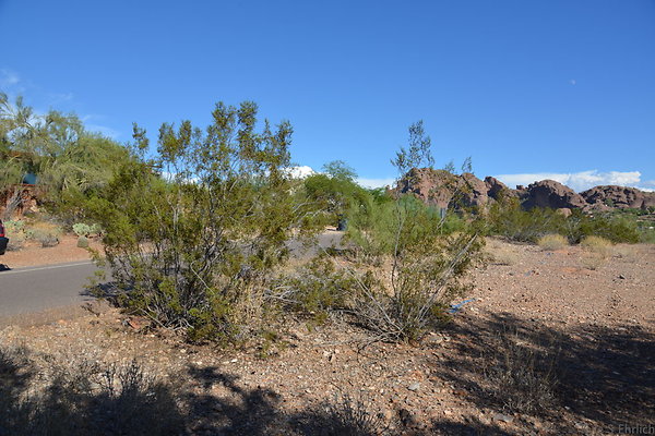 DSC 5439