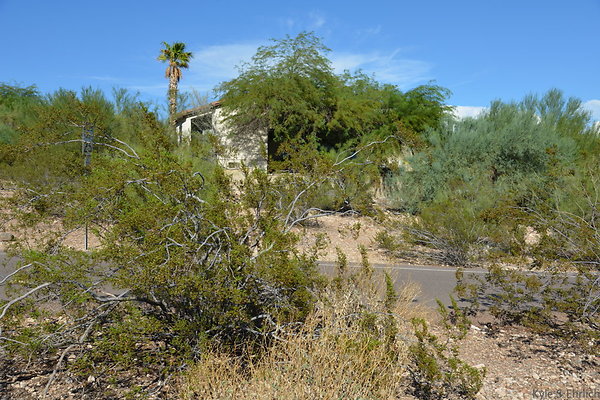 DSC 5458