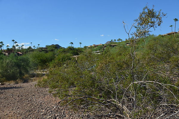 DSC 5456