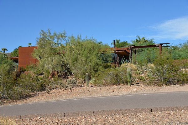 DSC 5449