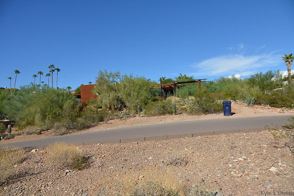 DSC 5448