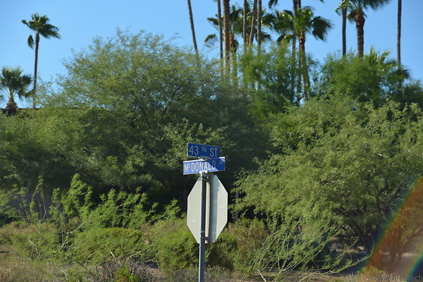 DSC 5472