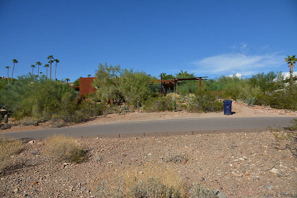 DSC 5451