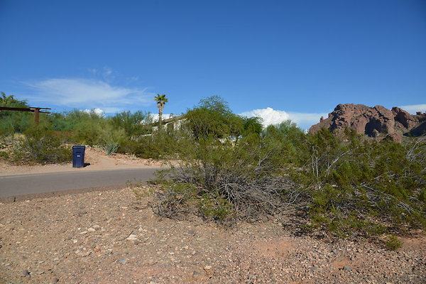 DSC 5452