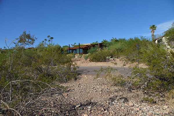 DSC 5453
