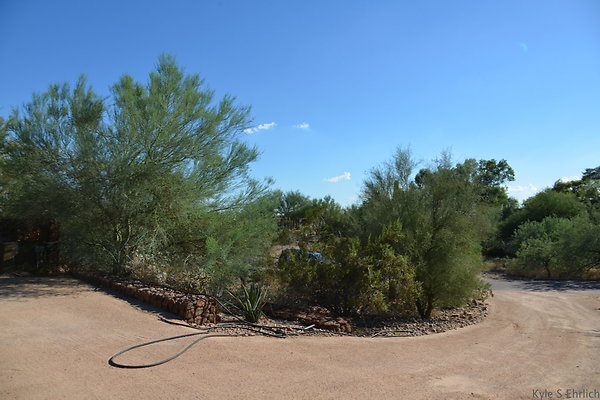 DSC 5420